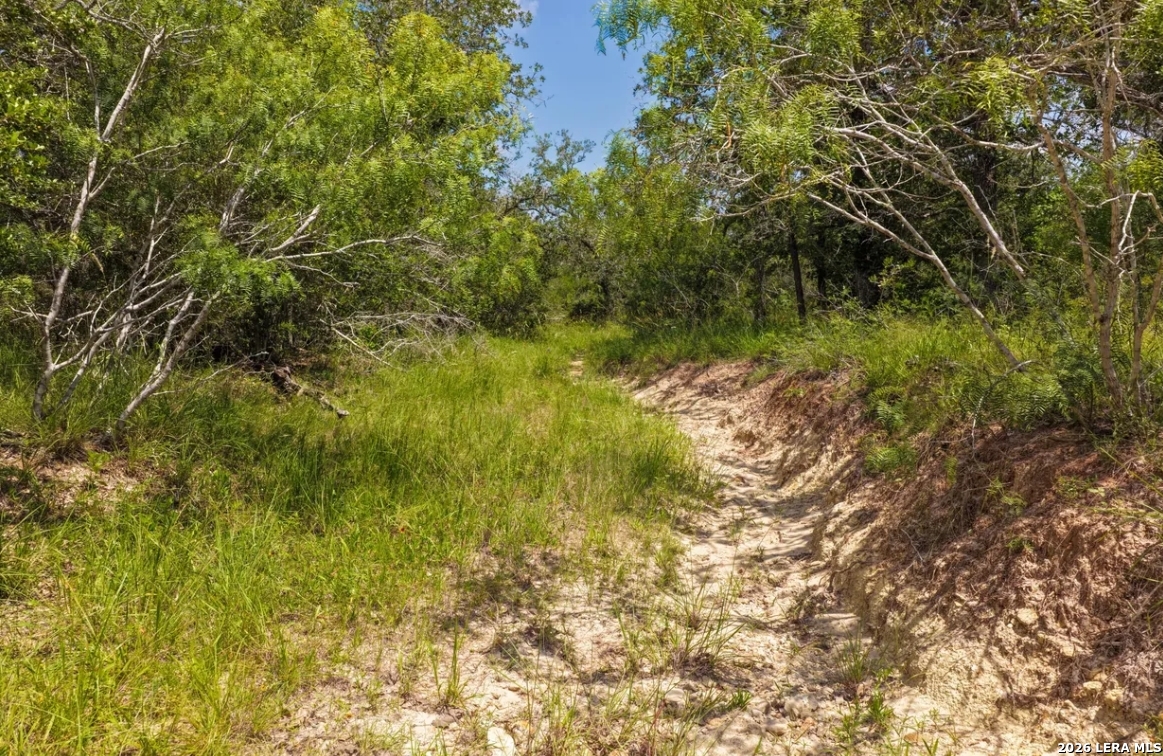 000 Cr 289 Gonzales TX 78629