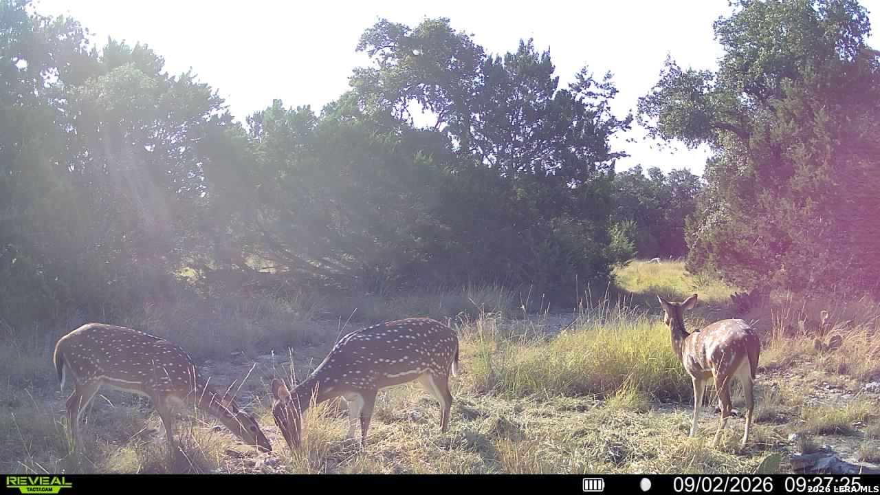 1862 Sd 31846 Barksdale TX 78828