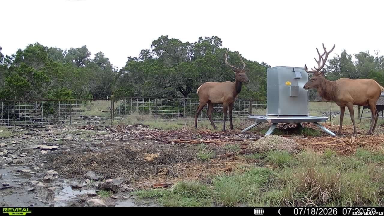 1862 Sd 31846 Barksdale TX 78828