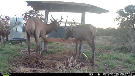 1862 Sd 31846 Barksdale TX 78828