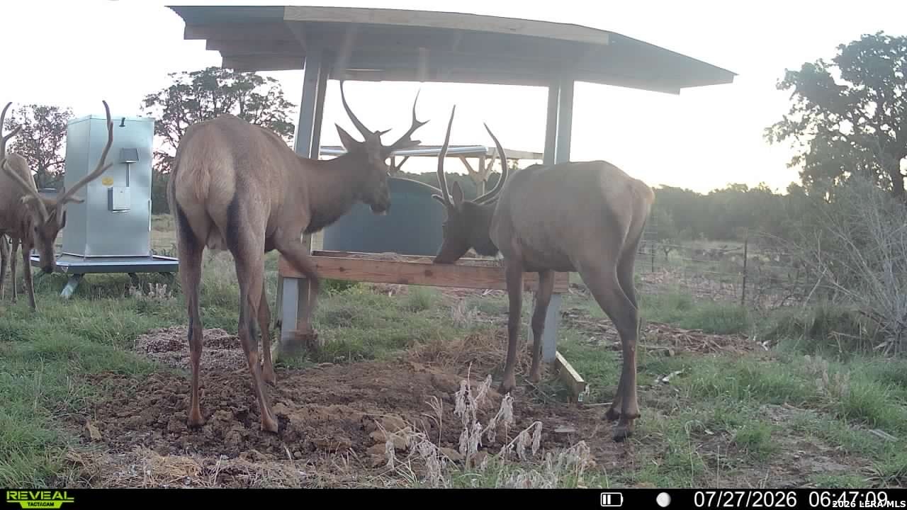 1862 Sd 31846 Barksdale TX 78828