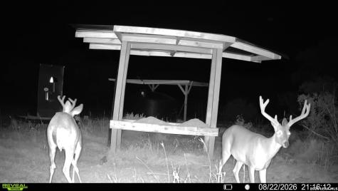 1862 Sd 31846 Barksdale TX 78828