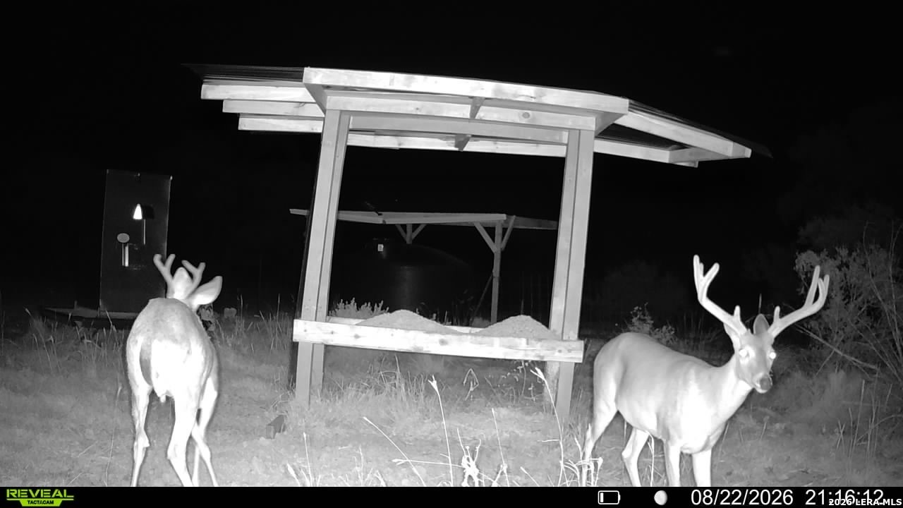 1862 Sd 31846 Barksdale TX 78828