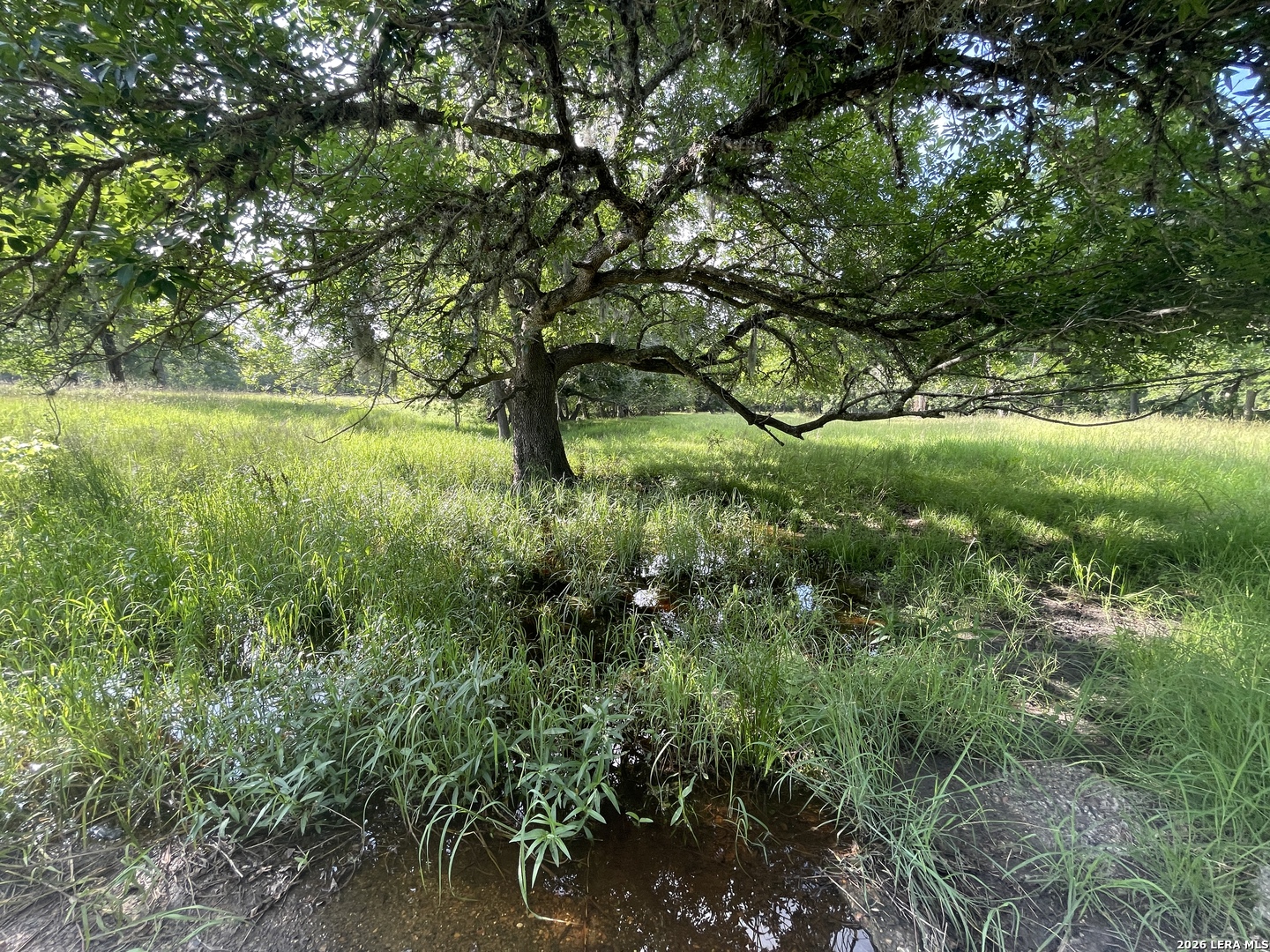 2427 S Fm 234 Edna TX 77957