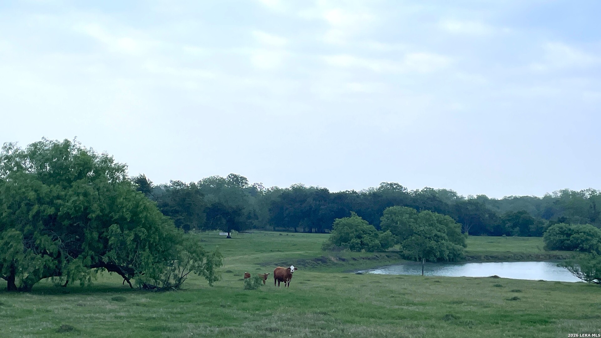 2427 S Fm 234 Edna TX 77957