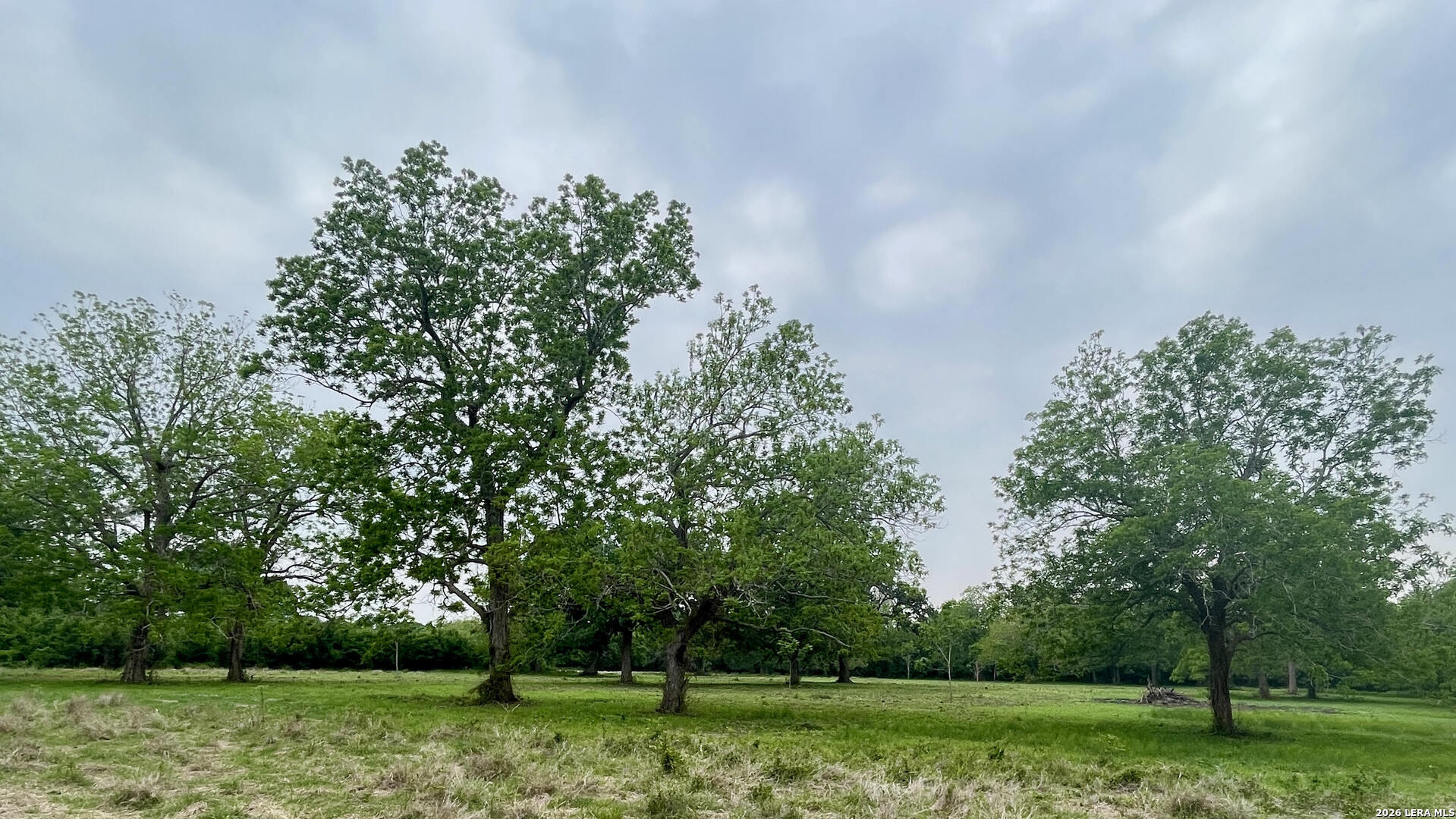 2427 S Fm 234 Edna TX 77957