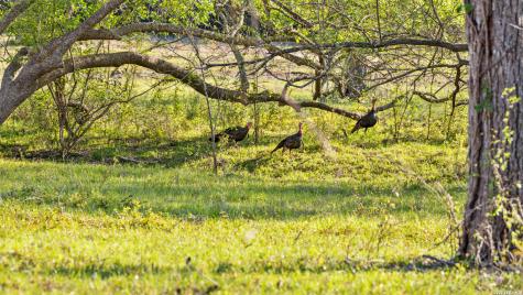 2427 S Fm 234 Edna TX 77957