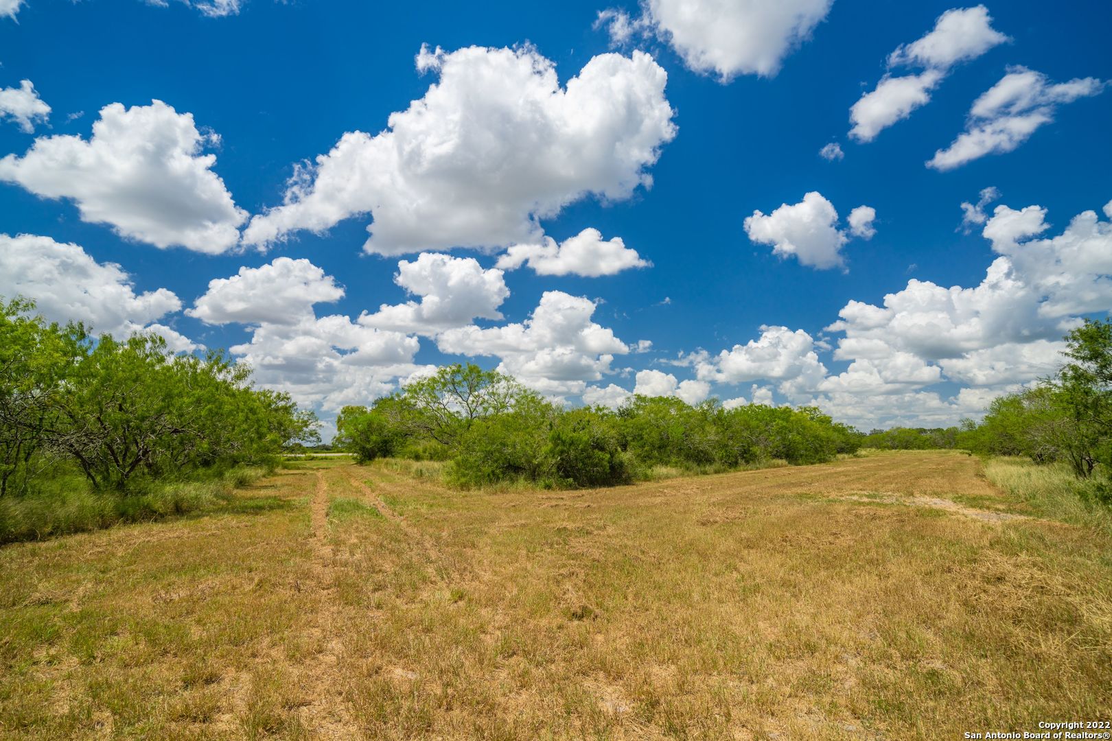 9815 Us-181 N Skidmore TX 78389