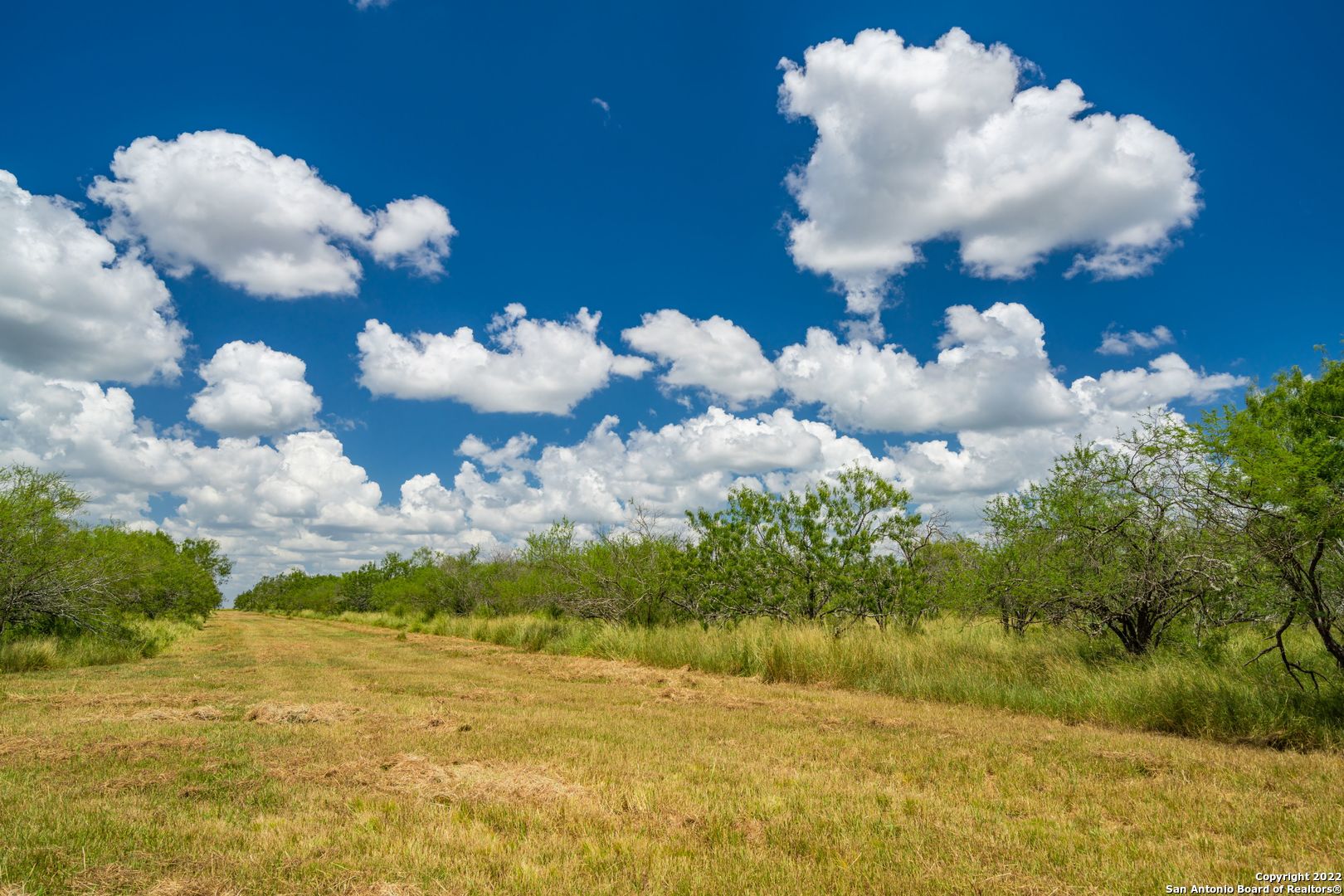9815 Us-181 N Skidmore TX 78389
