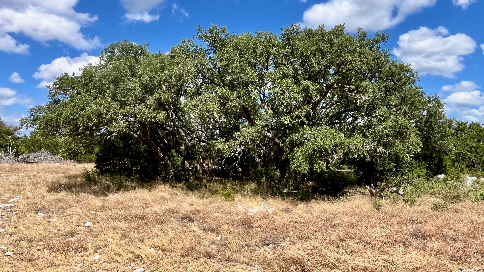 0 Tbd Rocksprings TX 78880