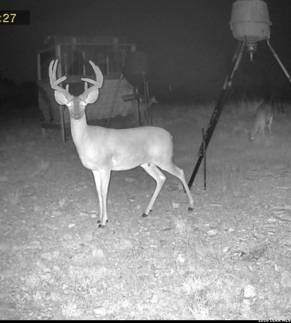 0 Tbd Rocksprings TX 78880