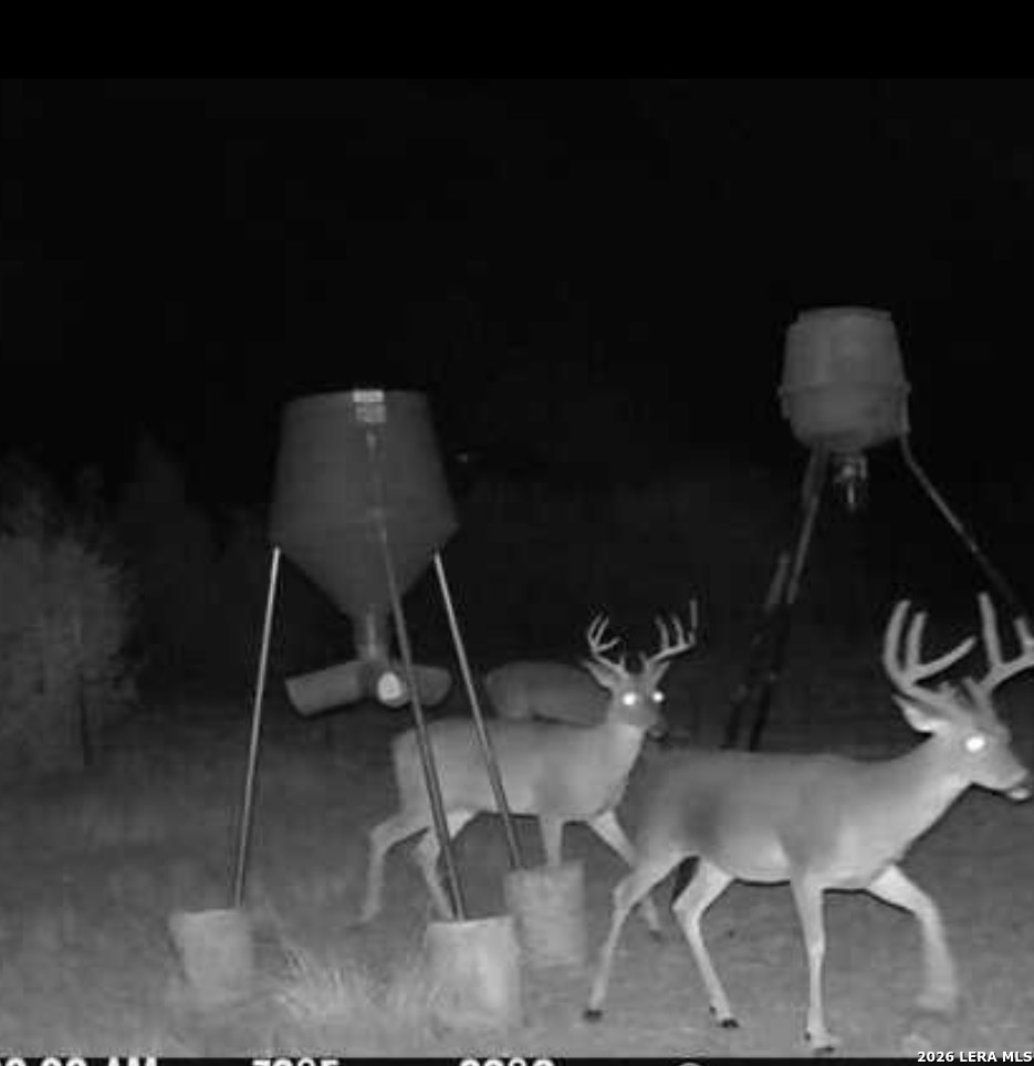0 Tbd Rocksprings TX 78880