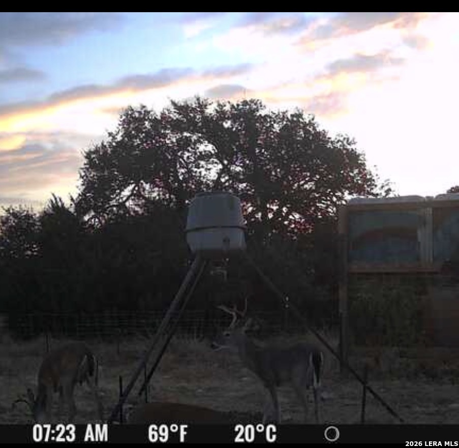 0 Tbd Rocksprings TX 78880