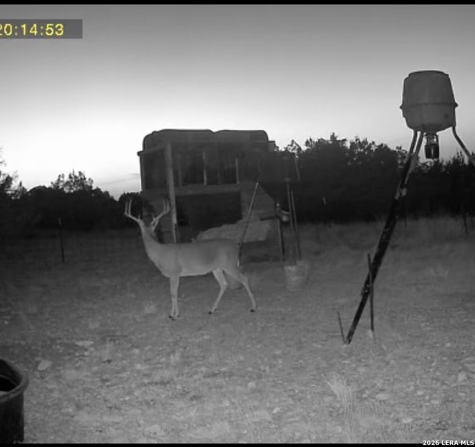 0 Tbd Rocksprings TX 78880