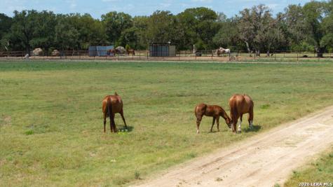 285 Obst Road Bulverde TX 78163