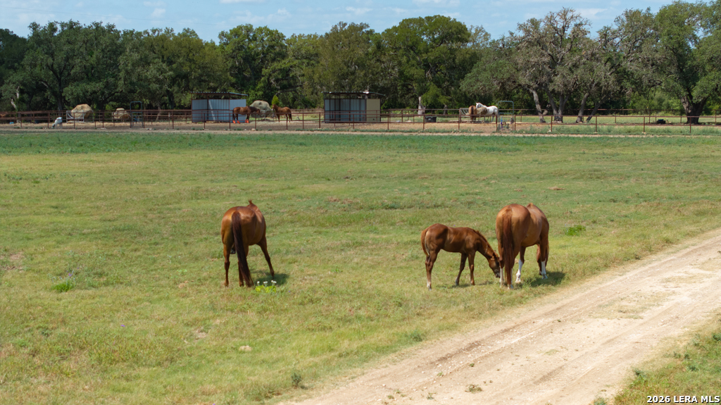 285 Obst Road Bulverde TX 78163