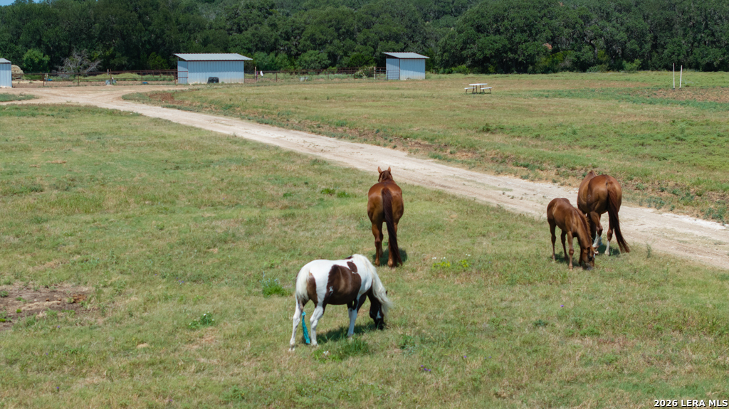 285 Obst Road Bulverde TX 78163