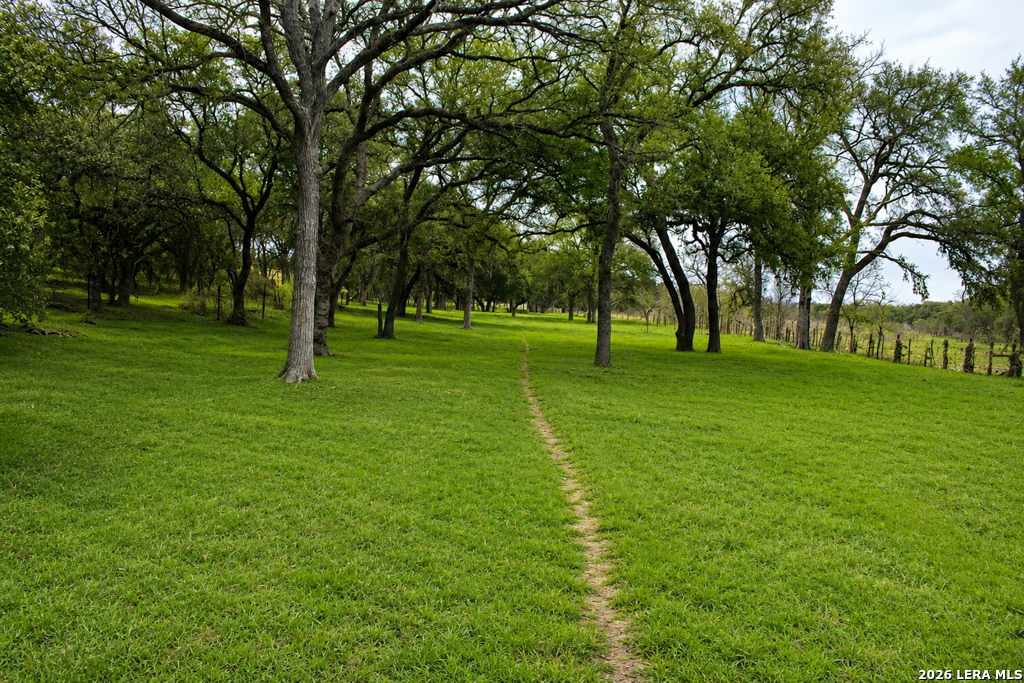 285 Obst Road Bulverde TX 78163