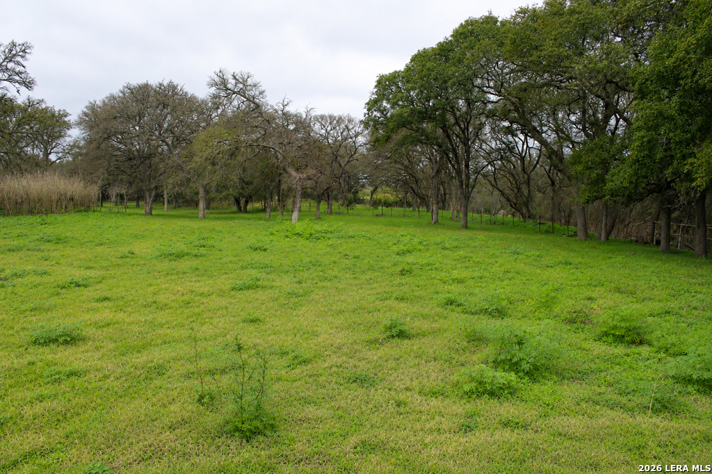 285 Obst Road Bulverde TX 78163