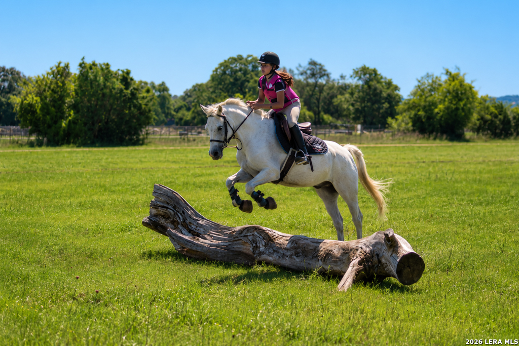 285 Obst Road Bulverde TX 78163