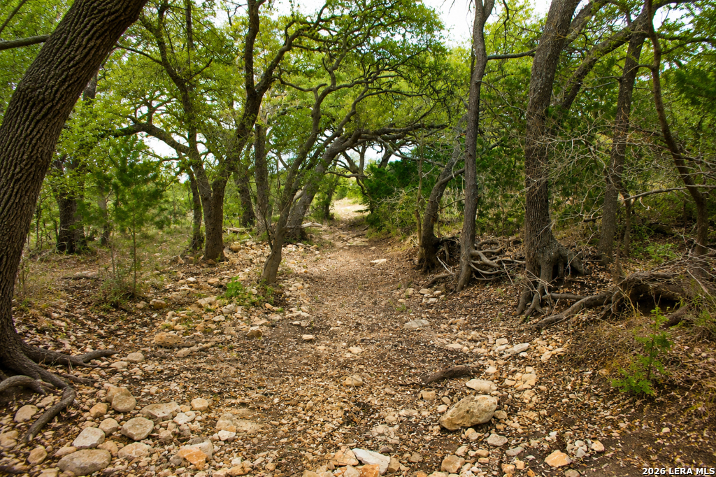 285 Obst Road Bulverde TX 78163