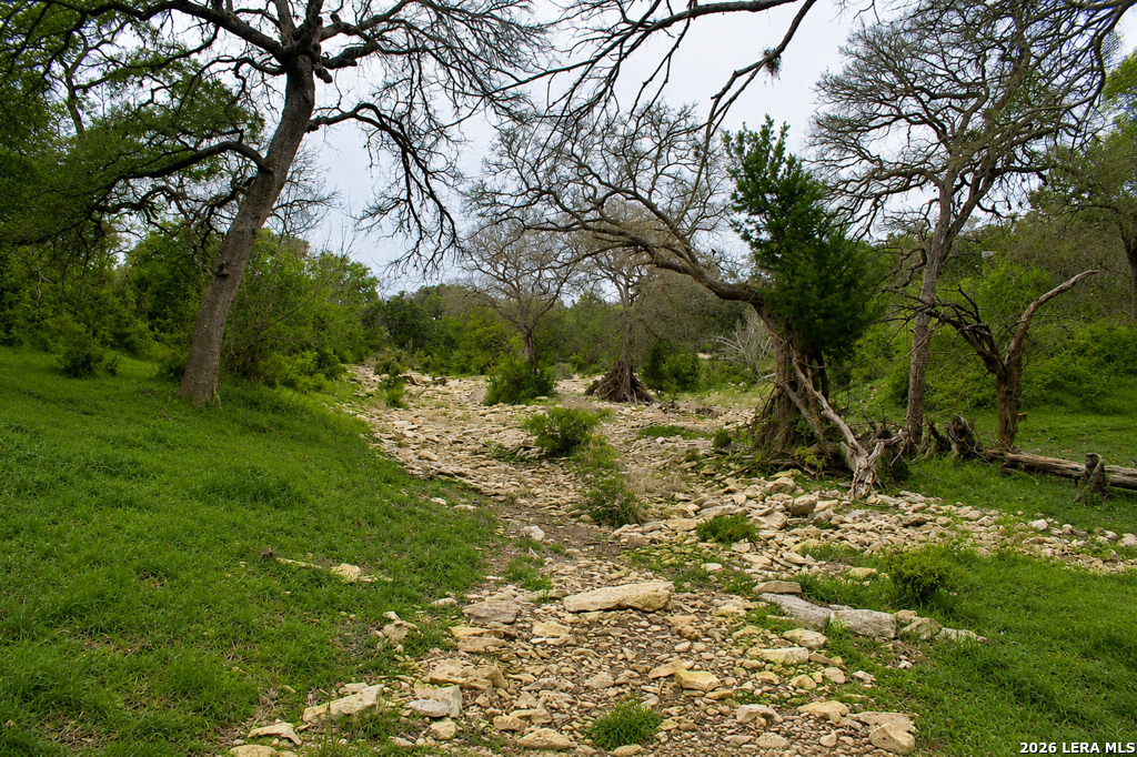 285 Obst Road Bulverde TX 78163