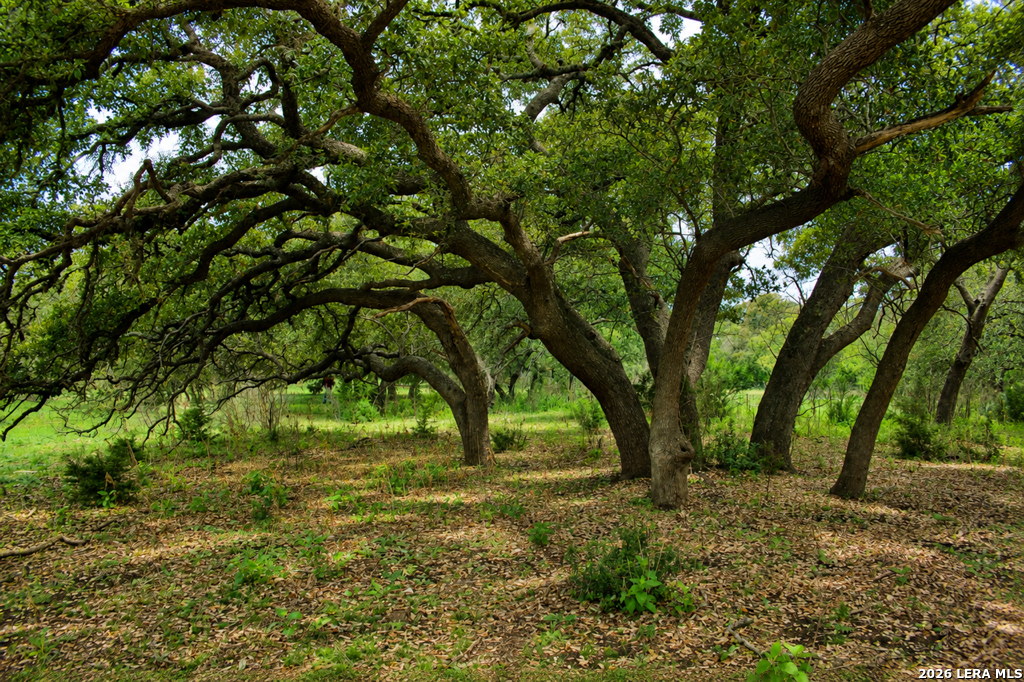 285 Obst Road Bulverde TX 78163
