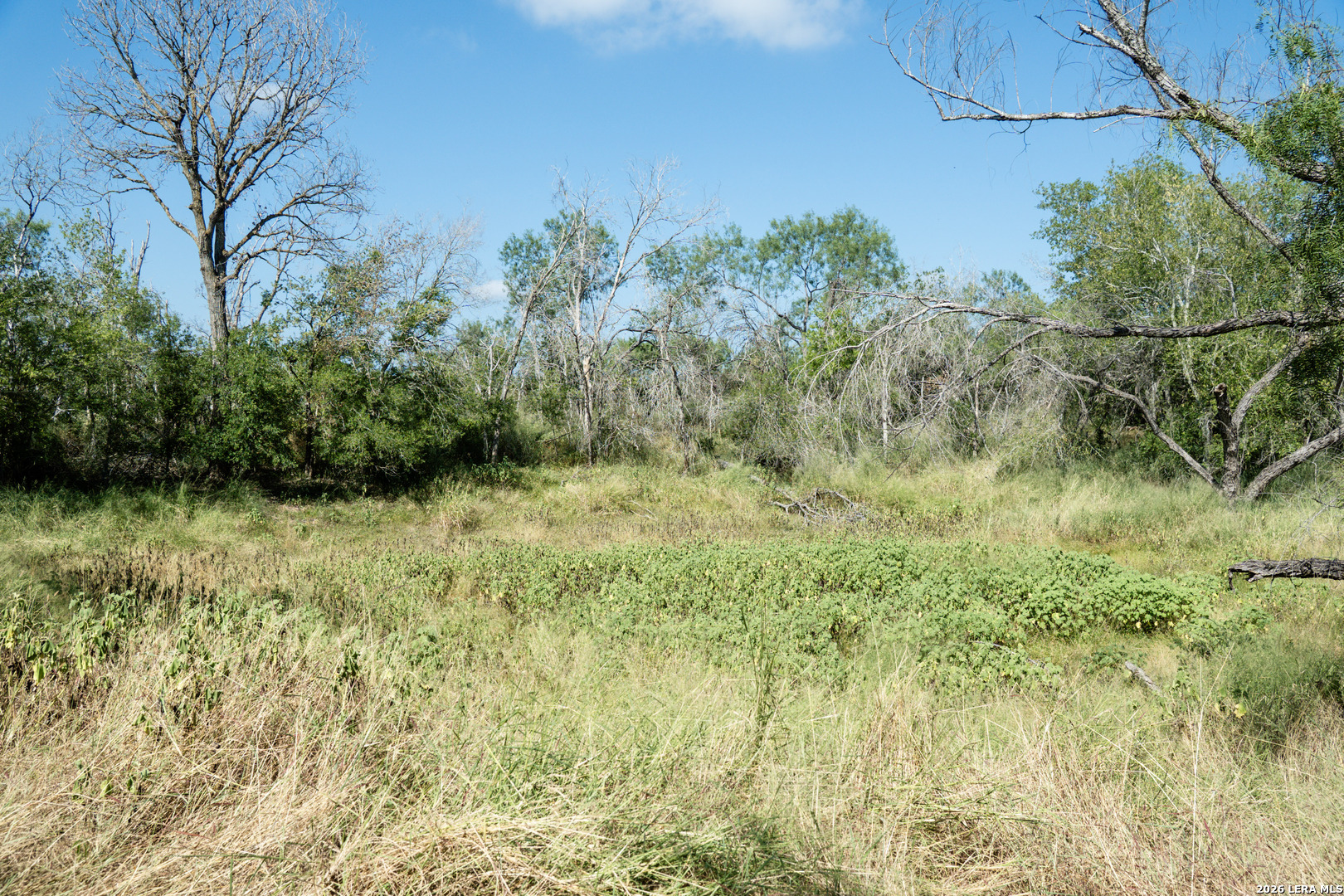 980 Mann Road Poteet TX 78065