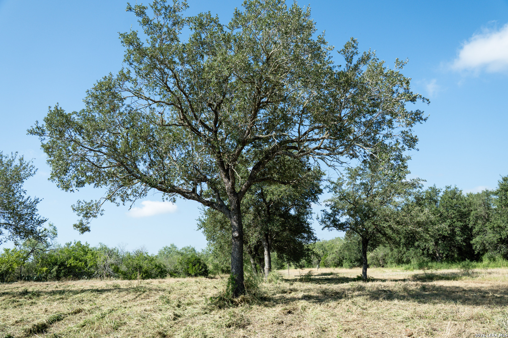 980 Mann Road Poteet TX 78065