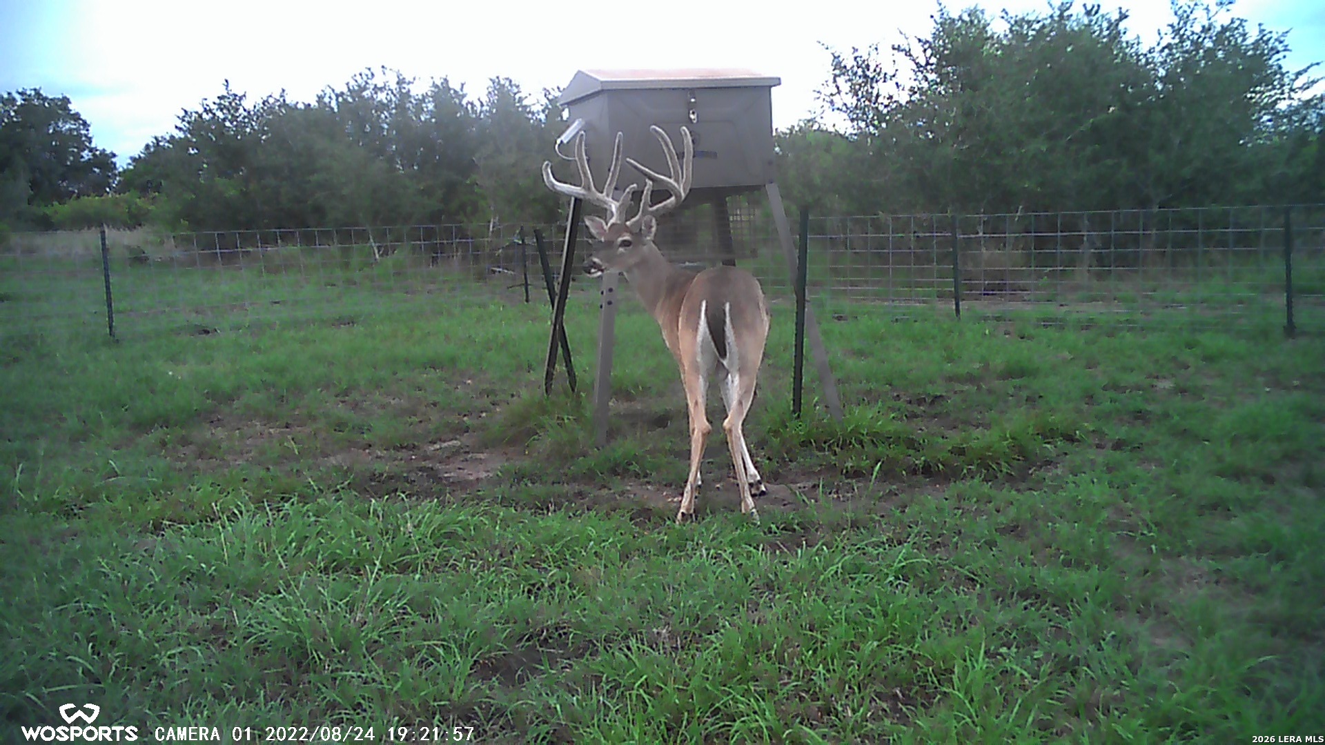 TX 78107