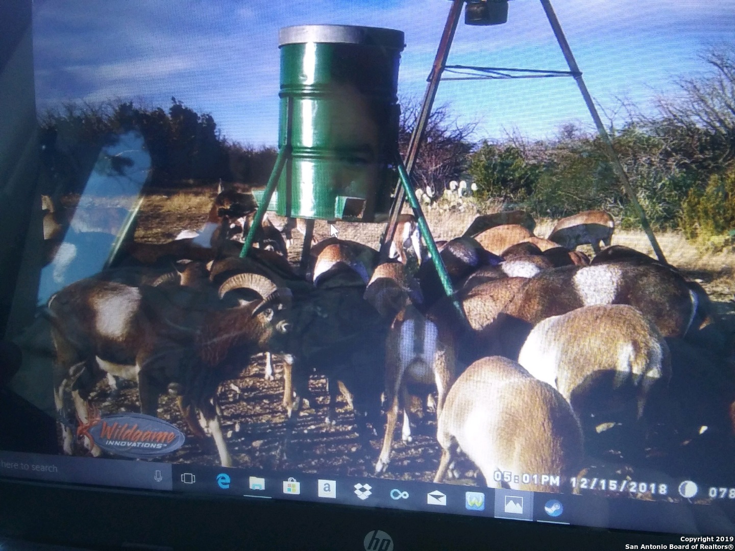 1052 Steep Road Del Rio TX 78840