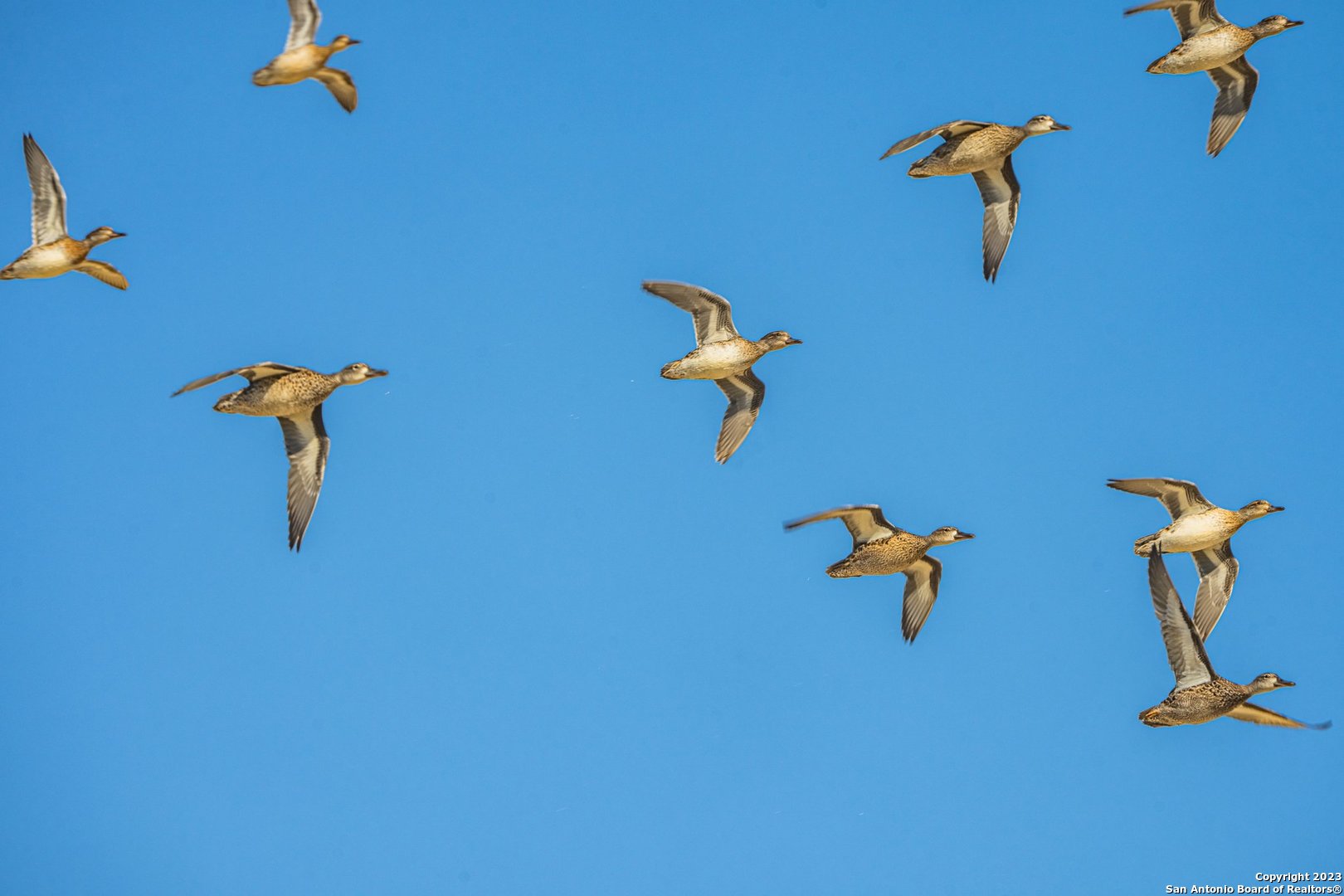 00 Scr 314 Sonora TX 76950