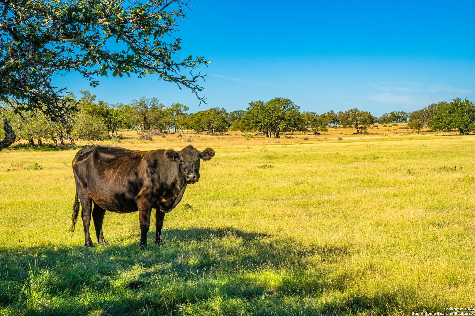 00 Scr 314 Sonora TX 76950