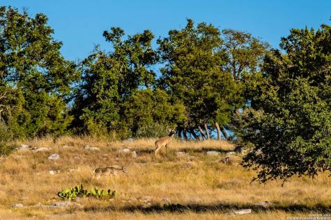 00 Scr 314 Sonora TX 76950