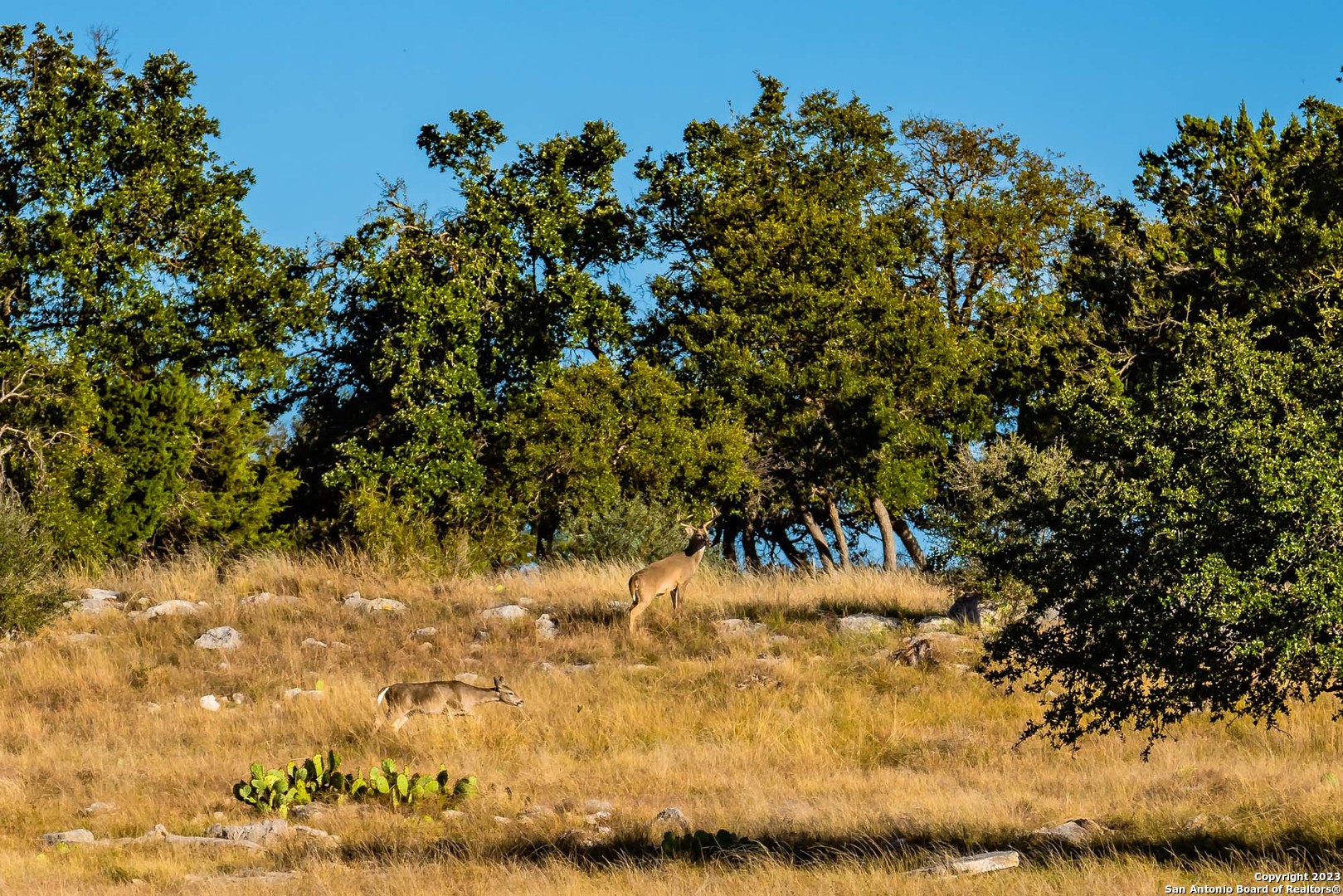 00 Scr 314 Sonora TX 76950
