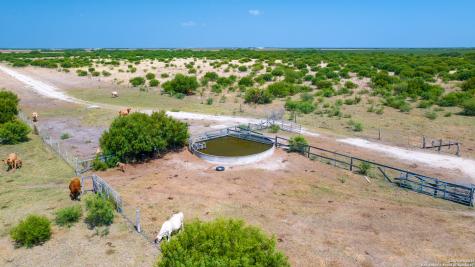 1118 County Road 2220e Kingsville TX 78363