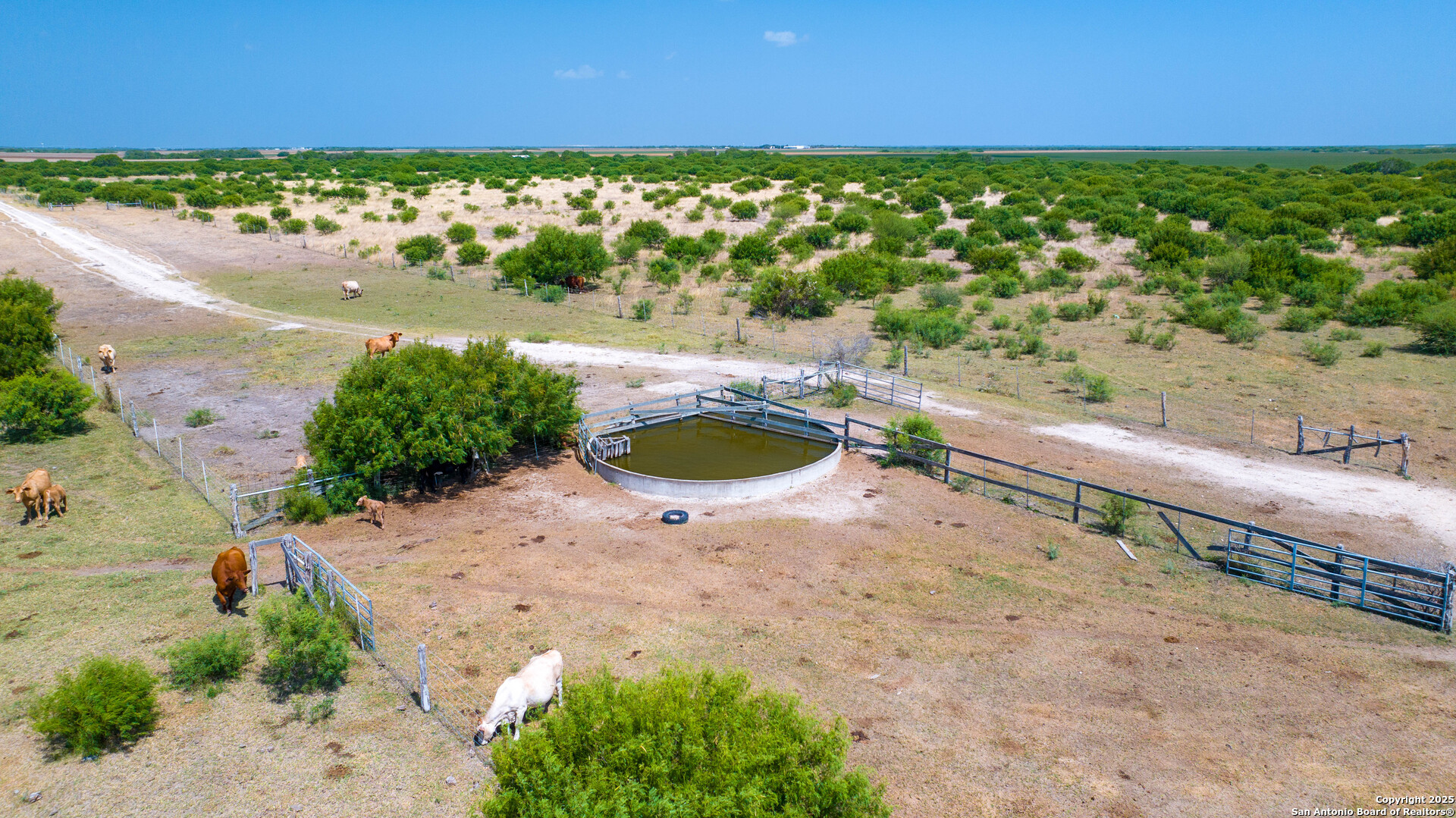 1118 County Road 2220e Kingsville TX 78363