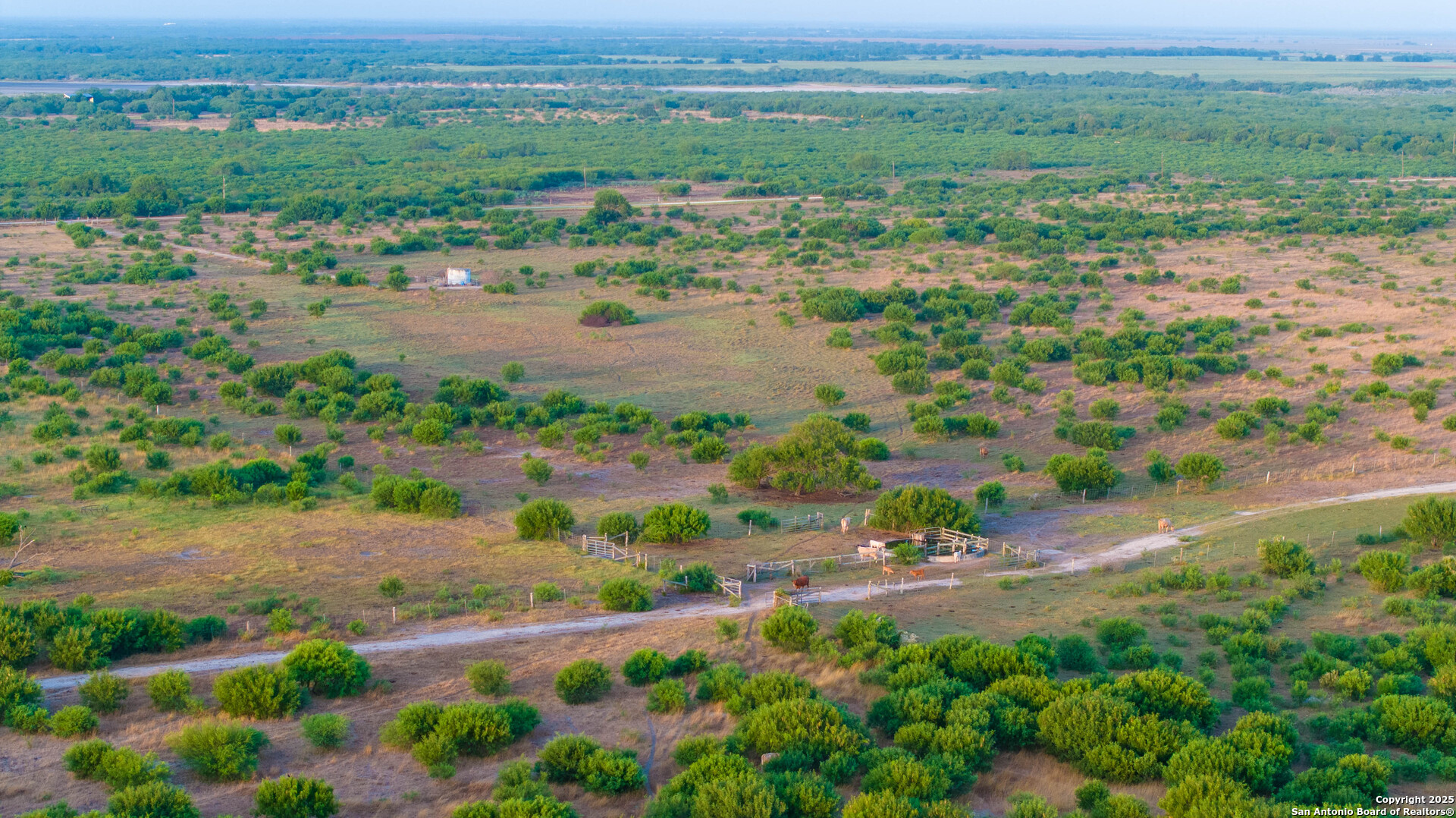 1118 County Road 2220e Kingsville TX 78363