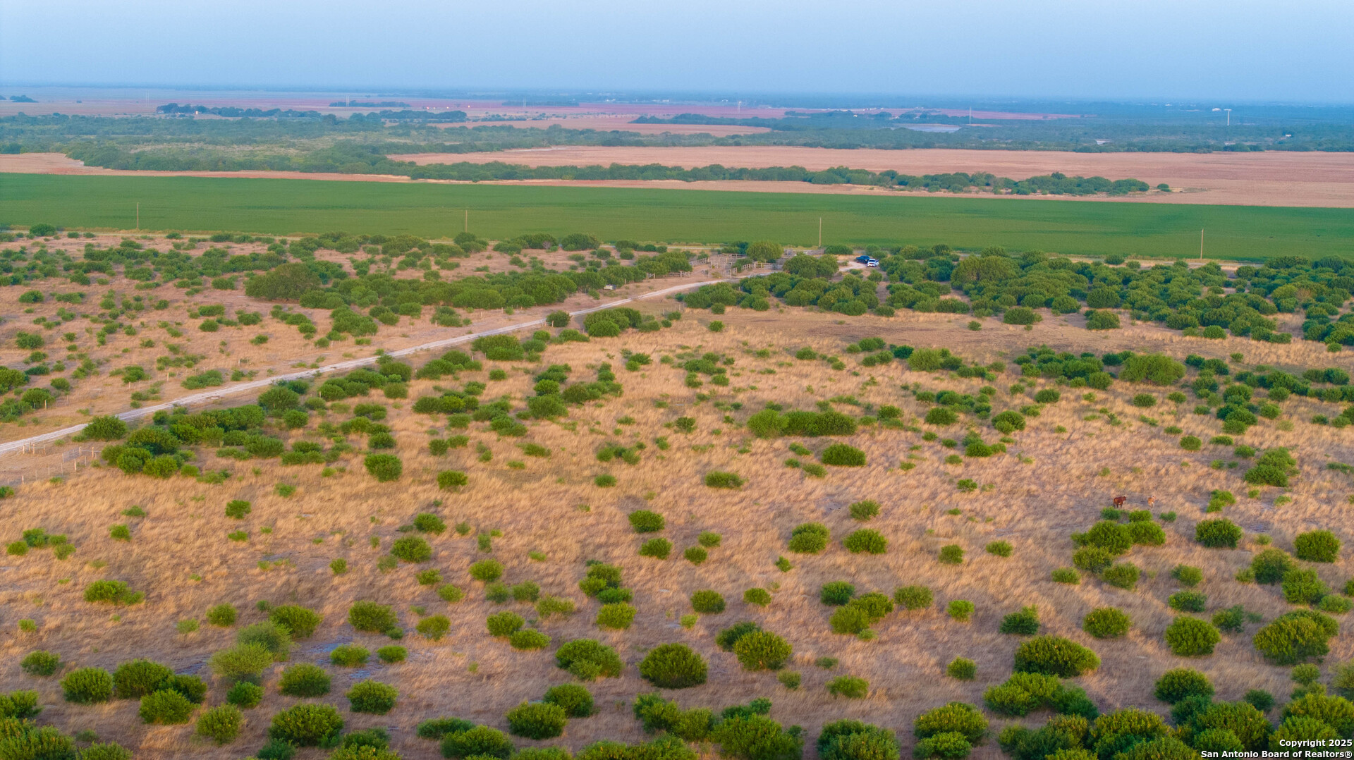1118 County Road 2220e Kingsville TX 78363