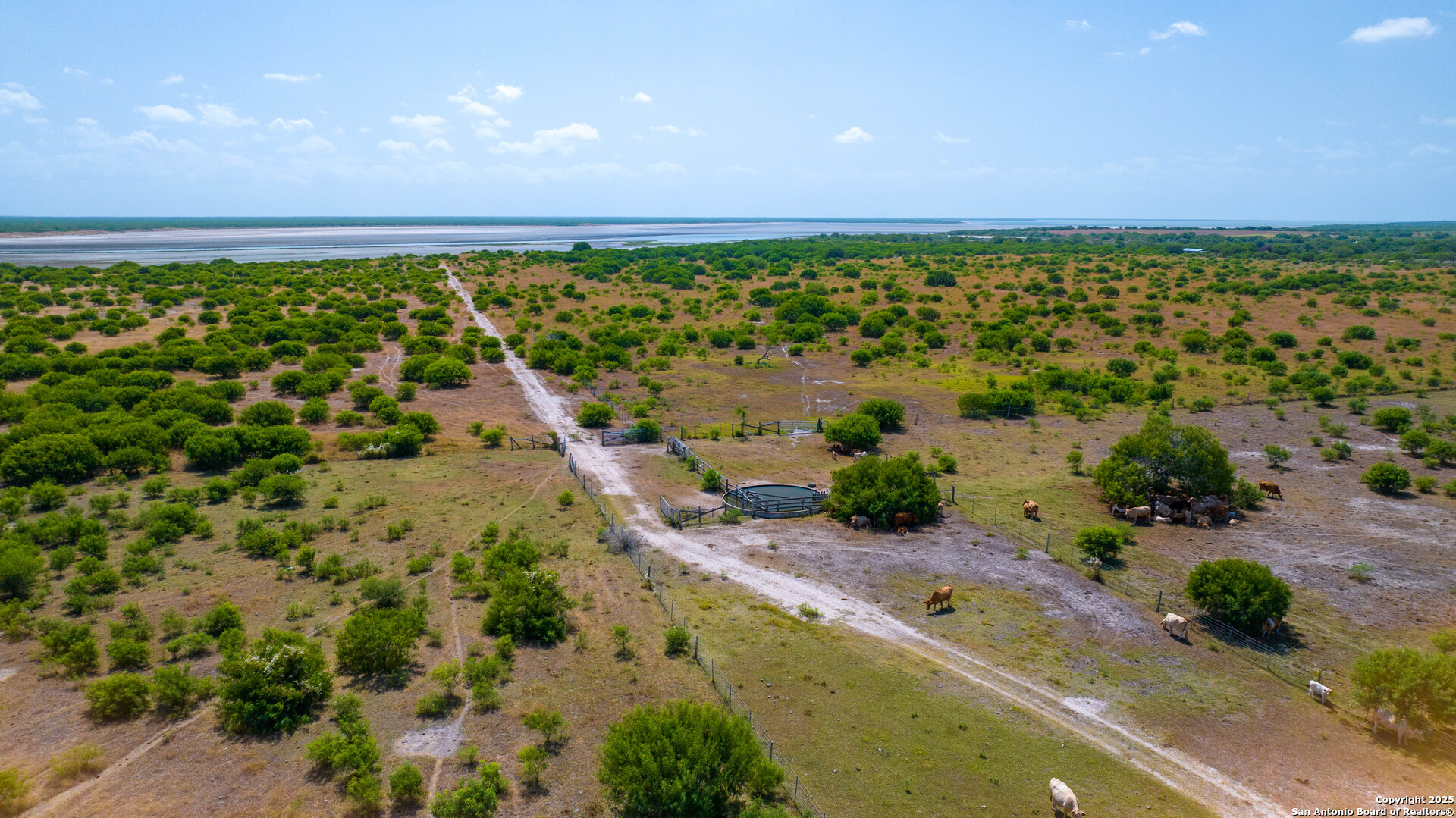 1118 County Road 2220e Kingsville TX 78363