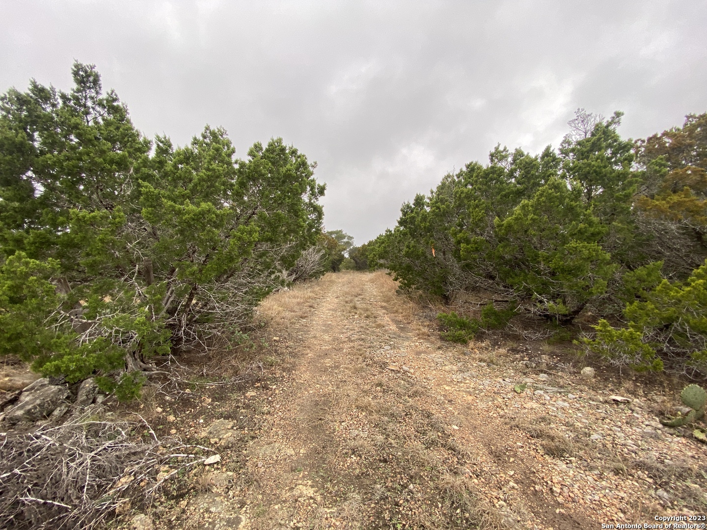 1595 Rim Rock Road Camp Wood TX 78833