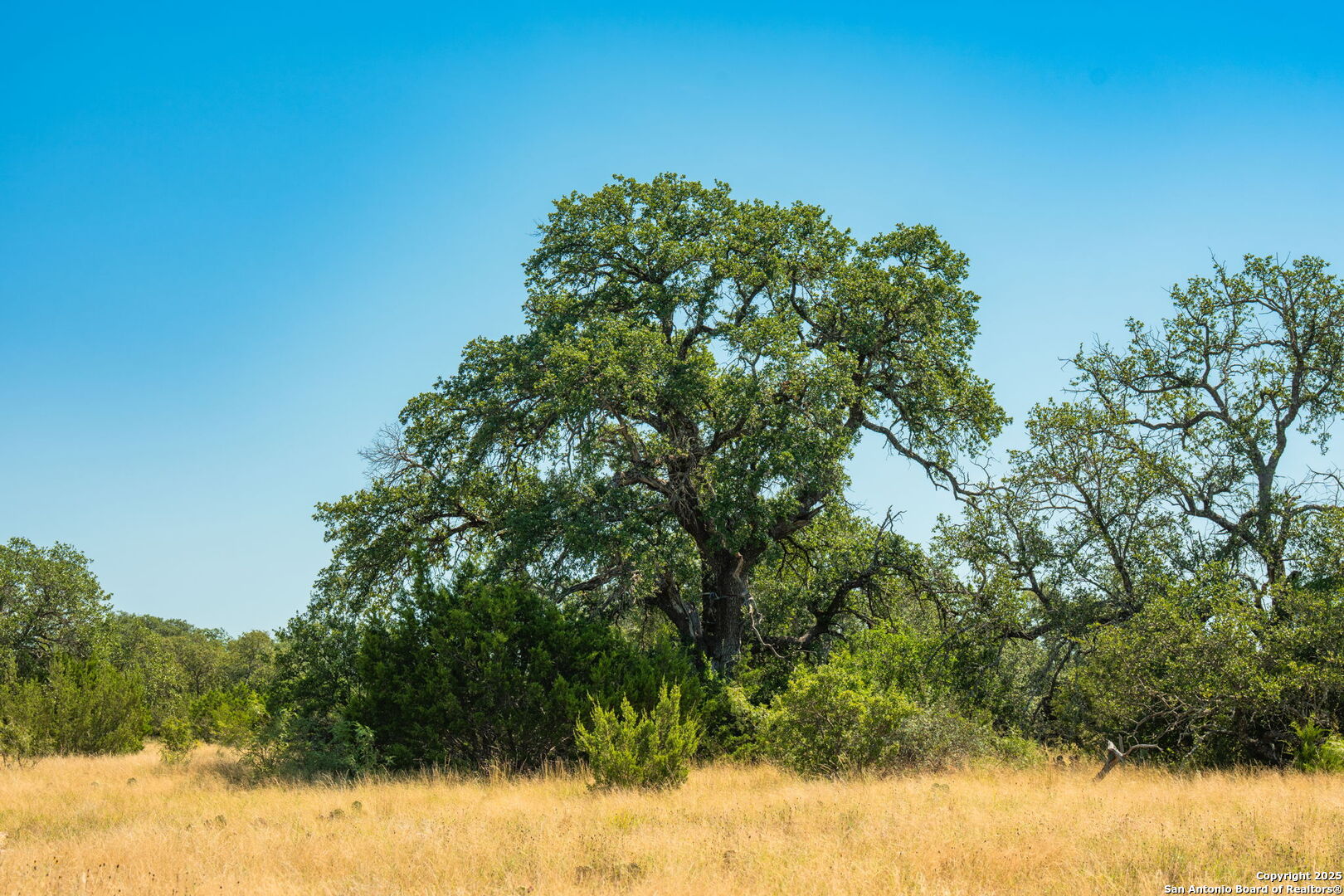 1075 Private Road 3523 Roosevelt TX 76874