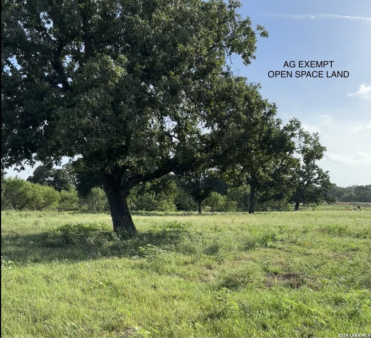 77 Ewald Lane Fredericksburg TX 78624