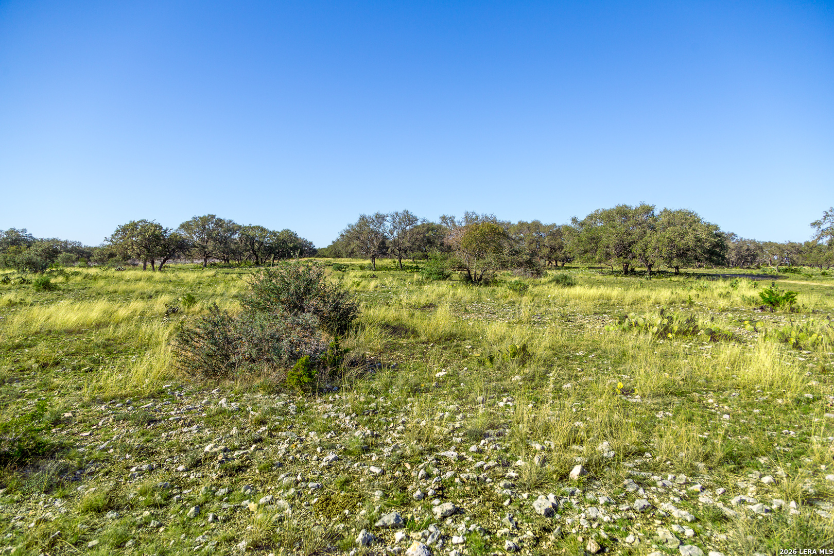 Tbd Highway 39 Hunt TX 78024