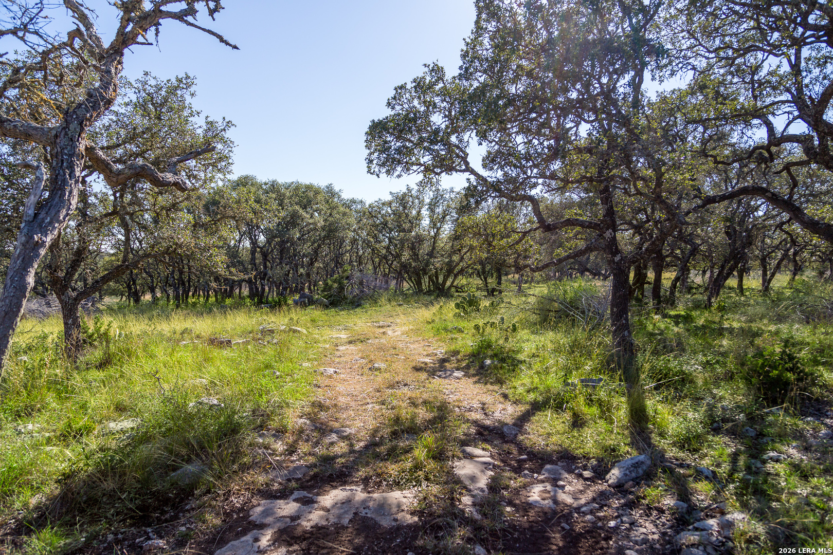 Tbd Highway 39 Hunt TX 78024