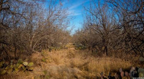 1799 Shumaca Road Carrizo Springs TX 78834