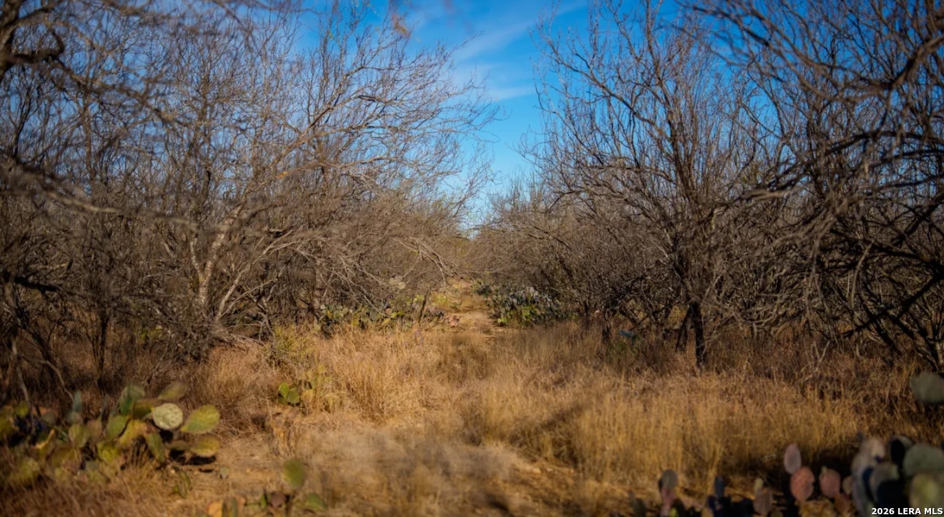 1799 Shumaca Road Carrizo Springs TX 78834