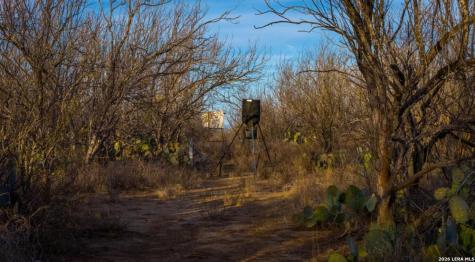1799 Shumaca Road Carrizo Springs TX 78834