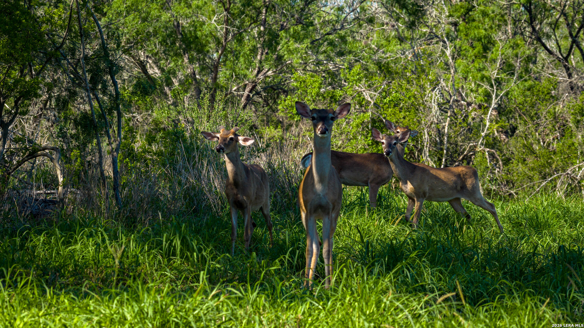 422 F.m. 791 Campbellton TX 78008