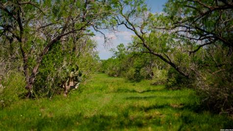 422 F.m. 791 Campbellton TX 78008